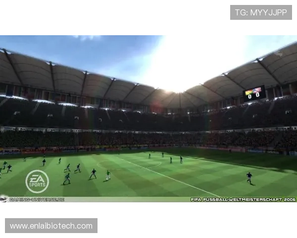 全面解析B sports入口的多种登录方式及常见问题解决方案